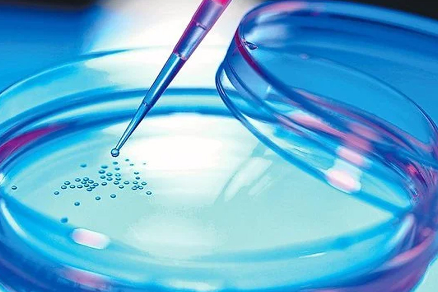 Ananyas Transformation with Stem Cell Treatment for Kidney Disease in India